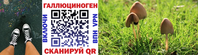 мега вход  Мариинский Посад  Галлюциногенные грибы Psilocybine cubensis  как найти наркотики 